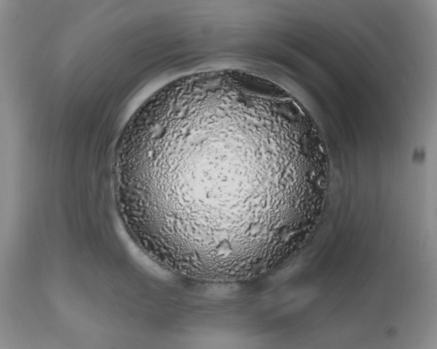 X0000112521055200908311353