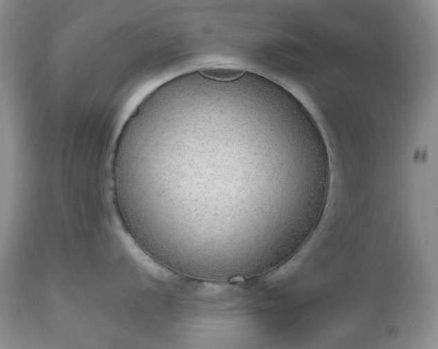 X0000112521056200908311353