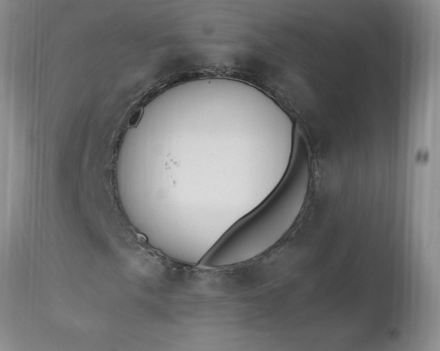 X0000112521057200908311352