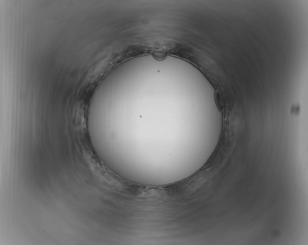 X0000112521058200908311352