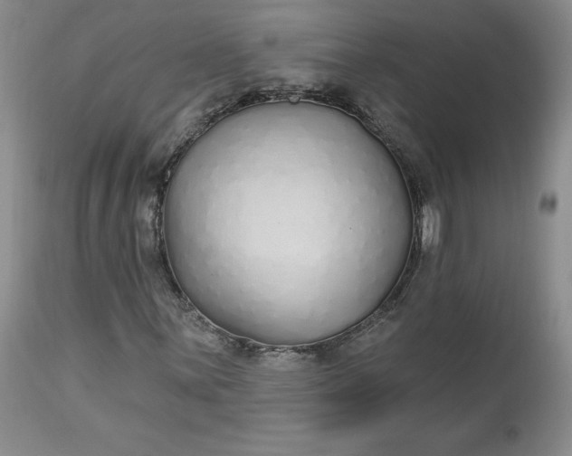 X0000112521059200908311352