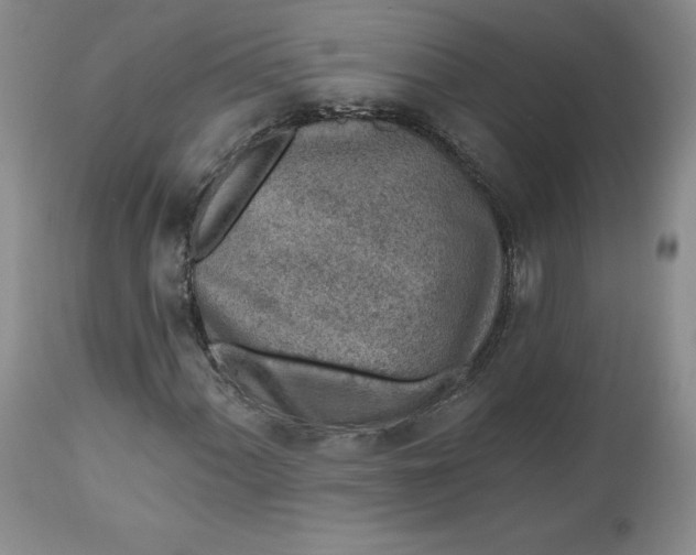 X0000112521060200908311352