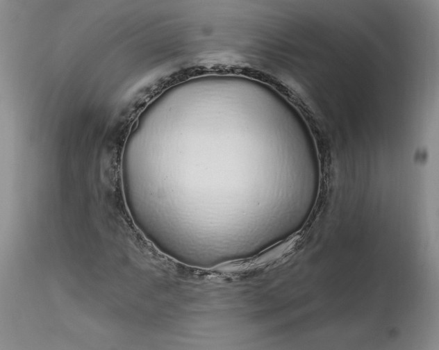 X0000112521063200908311352