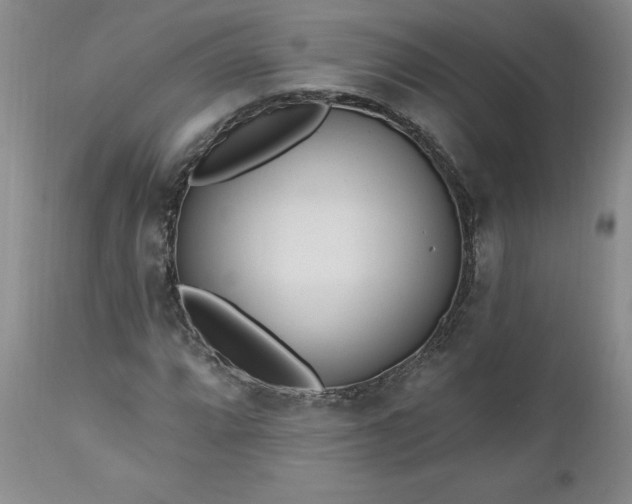 X0000112521064200908311352