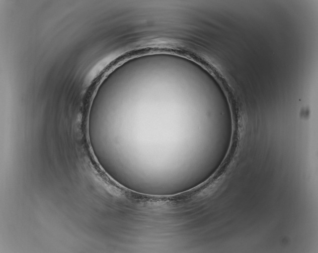 X0000112521066200908311352