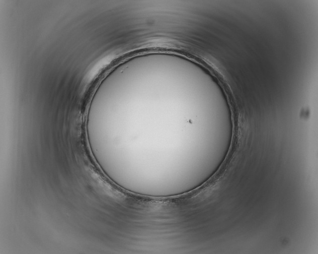X0000112521067200908311352