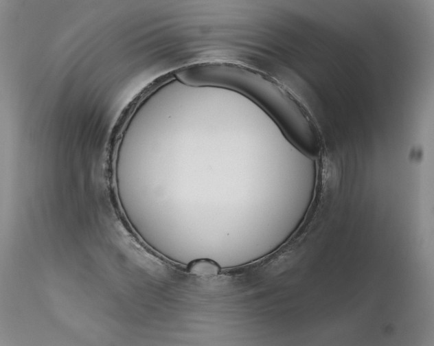 X0000112521068200908311352