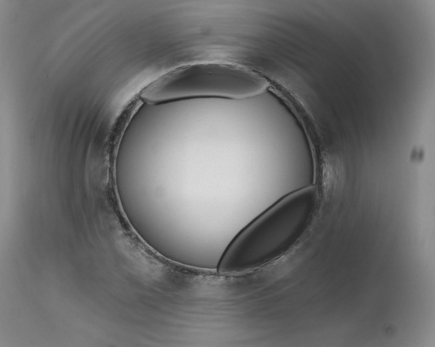 X0000112521069200908311352