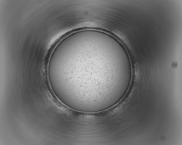 X0000112521070200908311352