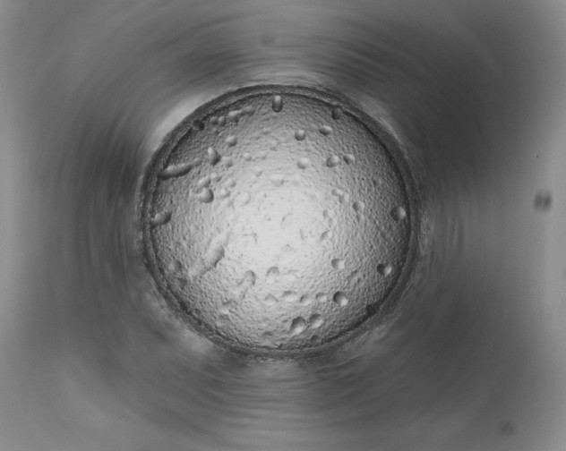 X0000112521071200908311352