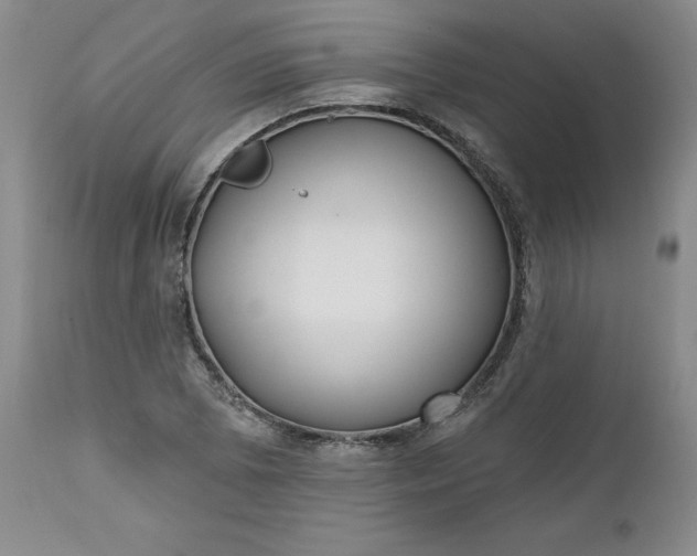 X0000112521073200908311352