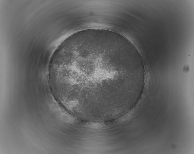 X0000112521074200908311352
