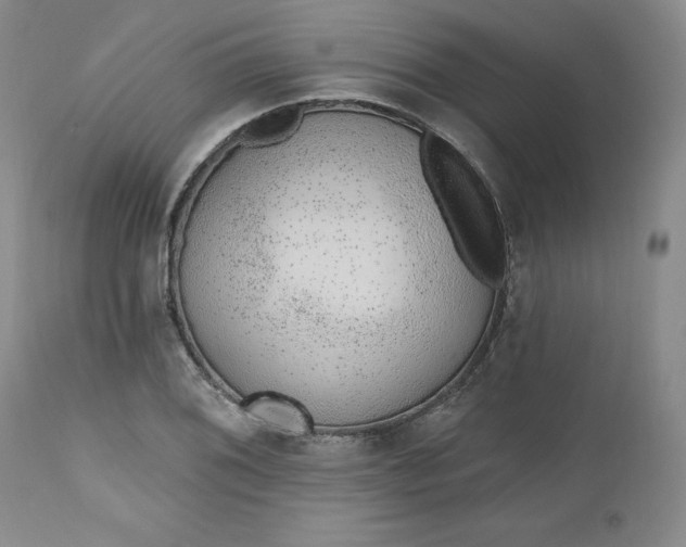 X0000112521076200908311352
