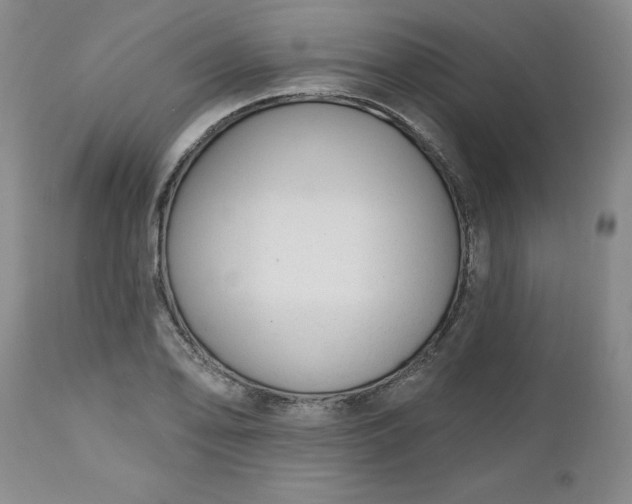 X0000112521078200908311352