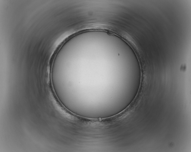 X0000112521079200908311352