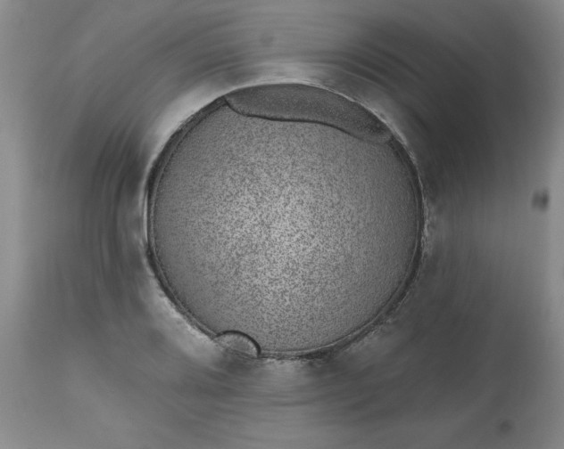 X0000112521080200908311352