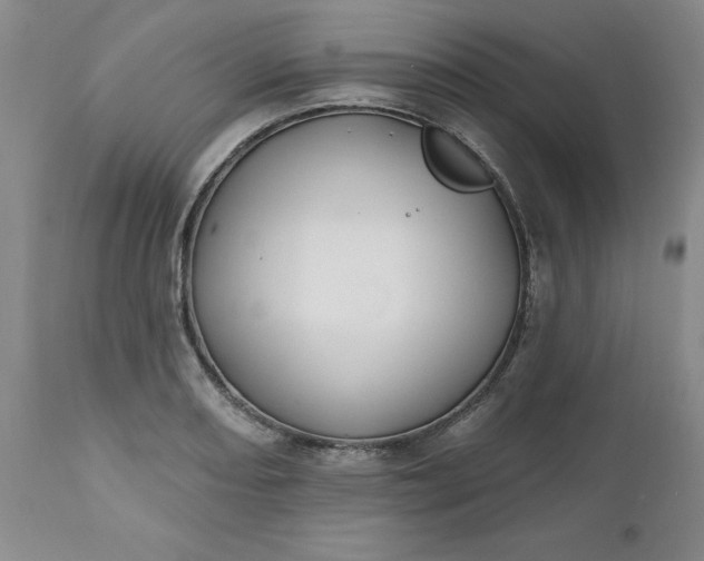 X0000112521082200908311352