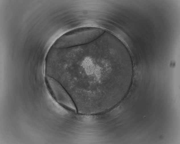 X0000112521084200908311352