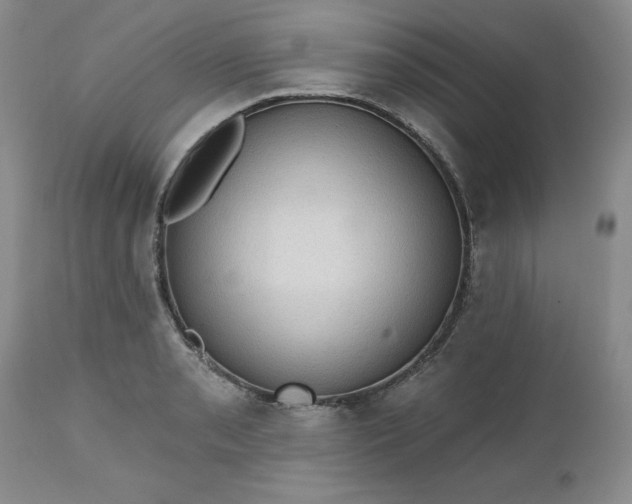 X0000112521085200908311352
