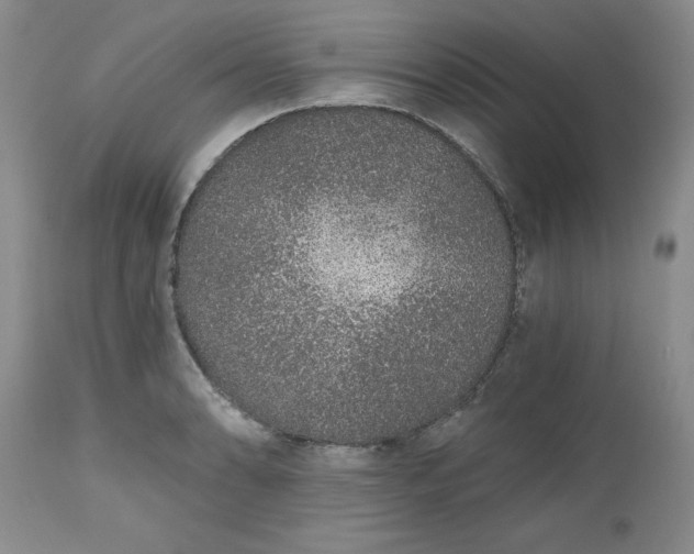 X0000112521086200908311352
