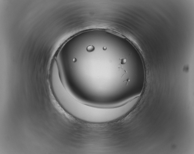 X0000112521088200908311352