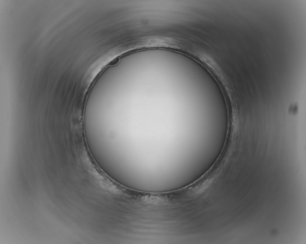 X0000112521089200908311352