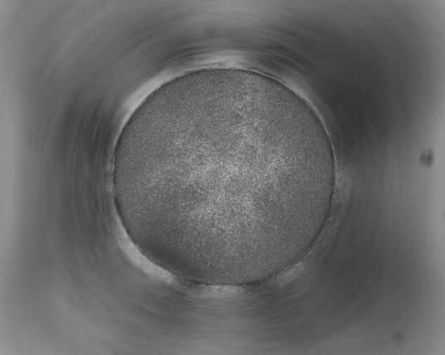 X0000112521090200908311352