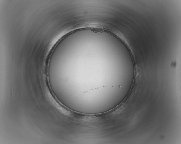 X0000112521091200908311352