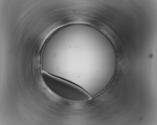 X0000112521092200908311352