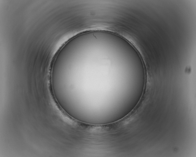 X0000112521093200908311352