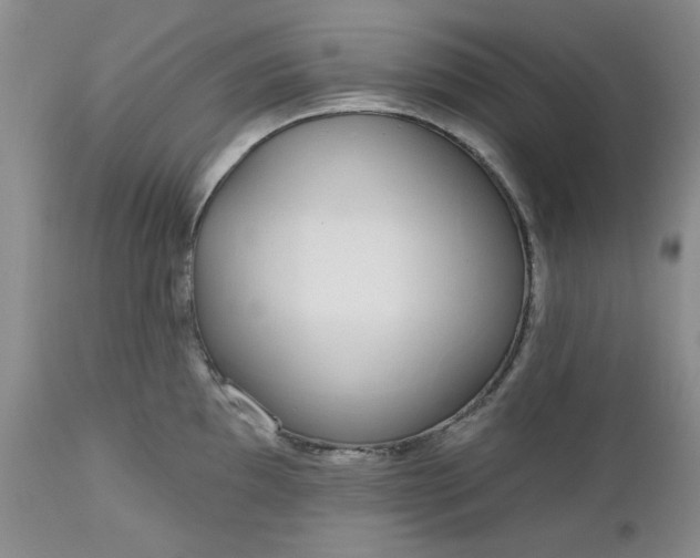 X0000112521097200908311352
