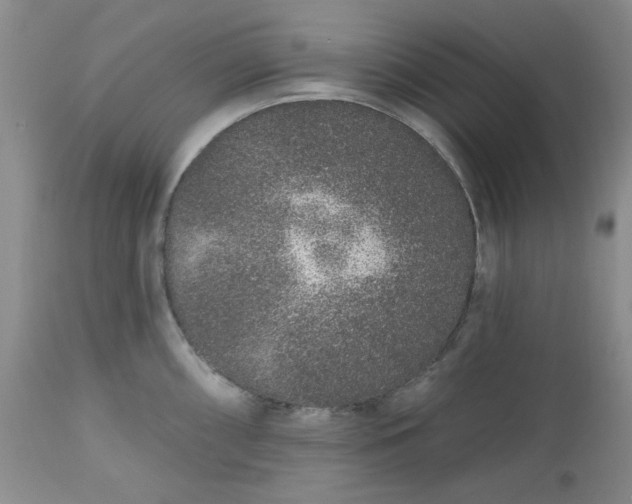 X0000112521098200908311352