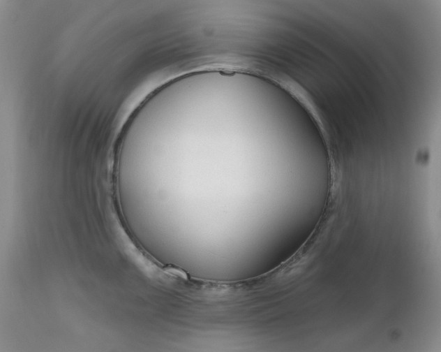 X0000112521099200908311352