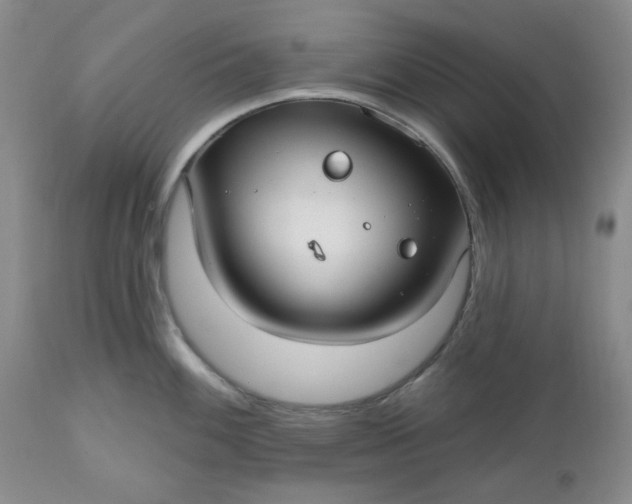 X0000112521100200908311352