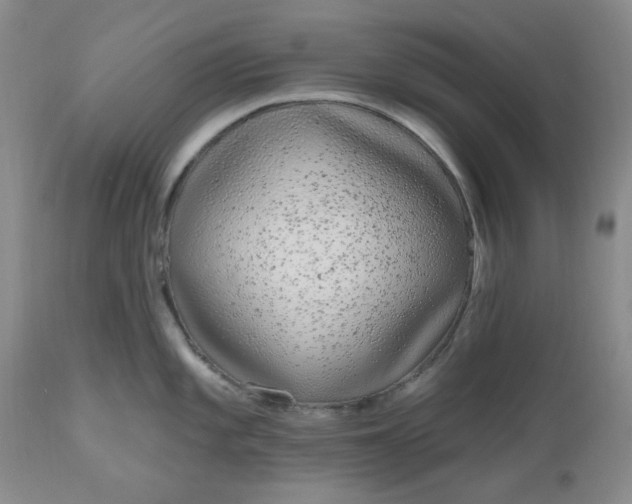 X0000112521101200908311352