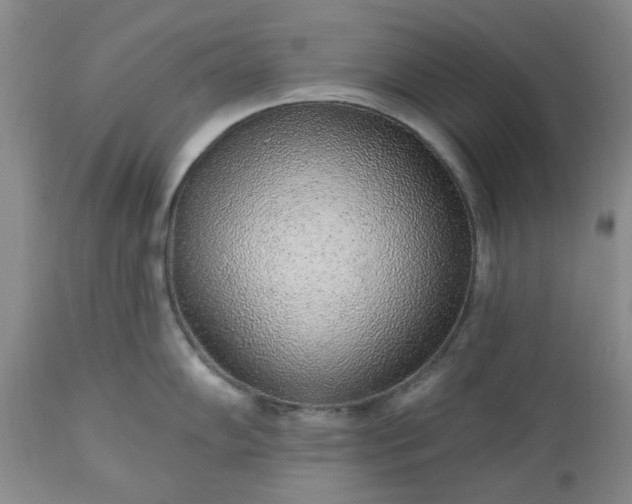 X0000112521102200908311351