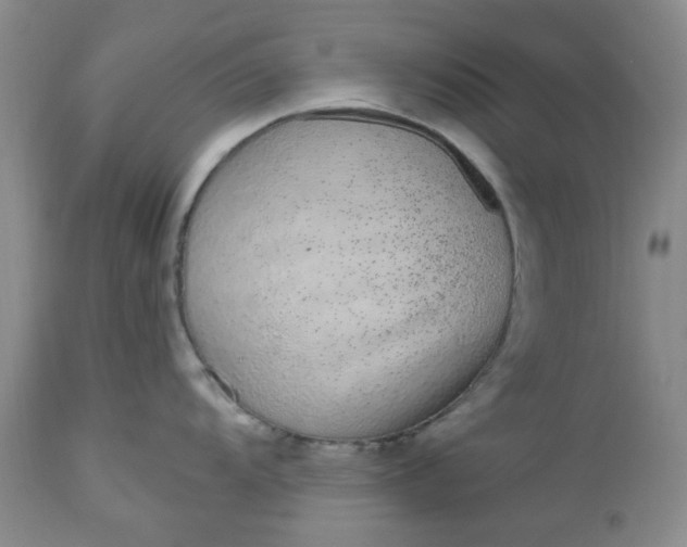 X0000112521104200908311351
