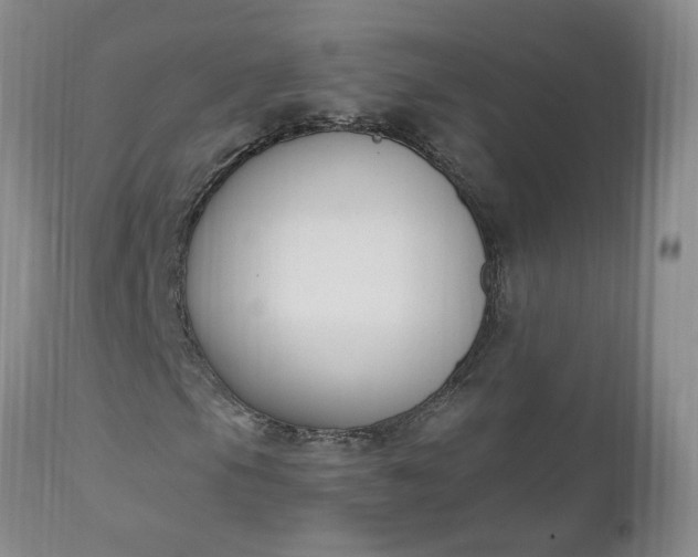 X0000112521105200908311351