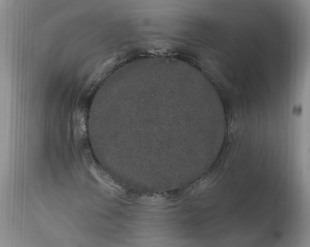 X0000112521106200908311351