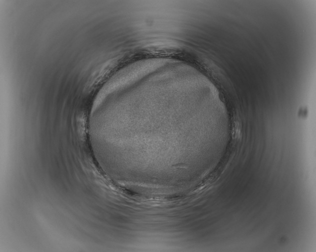 X0000112521108200908311351