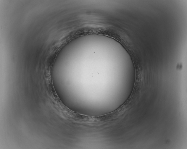 X0000112521109200908311351