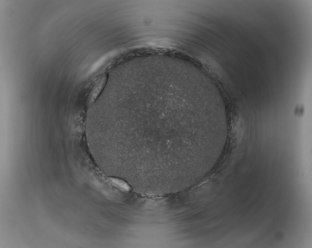 X0000112521110200908311351