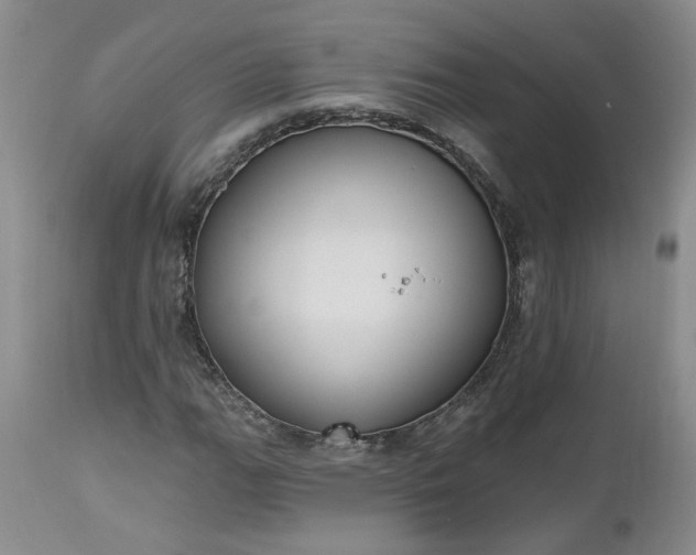 X0000112521111200908311351