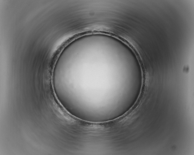 X0000112521115200908311351