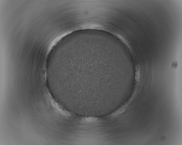 X0000112521117200908311351