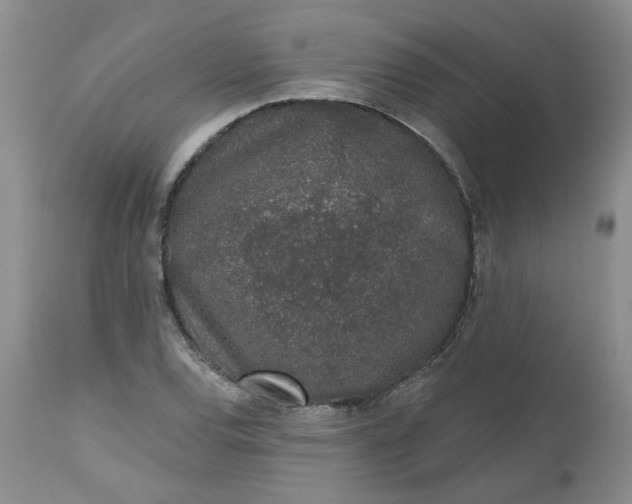 X0000112521120200908311351