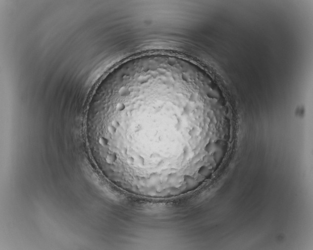 X0000112521121200908311351