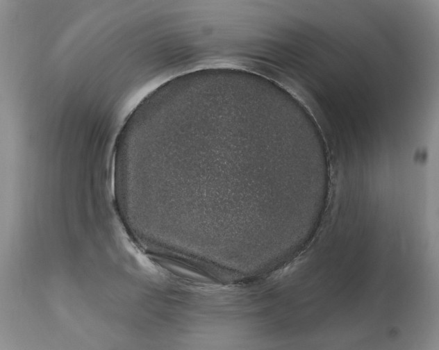 X0000112521127200908311351