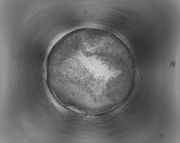 X0000112521128200908311351