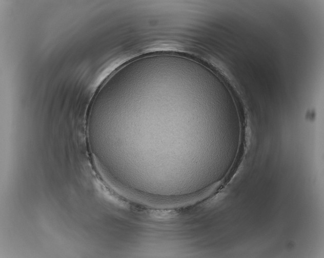 X0000112521129200908311351